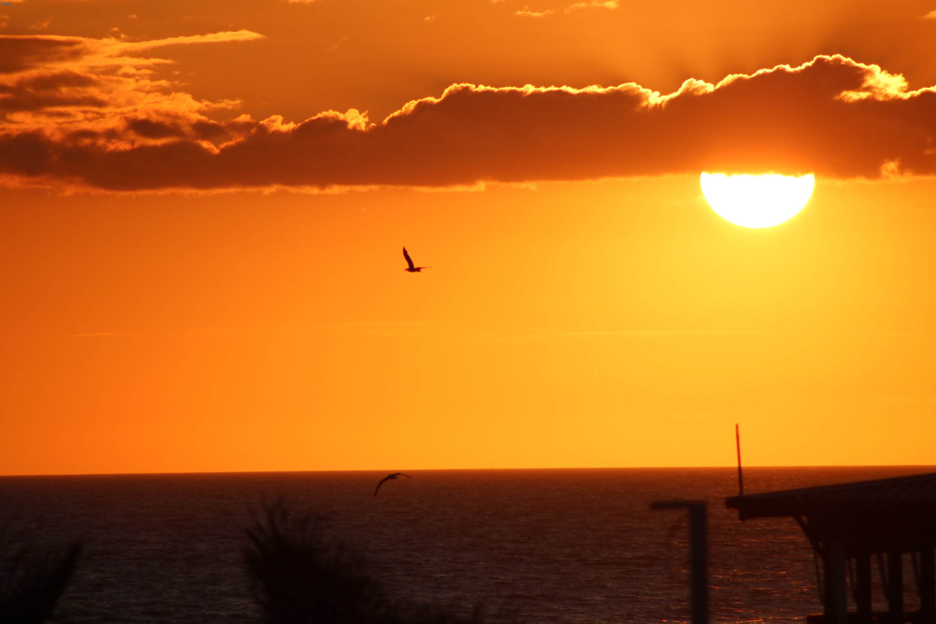 Atardecer playa Doñana
