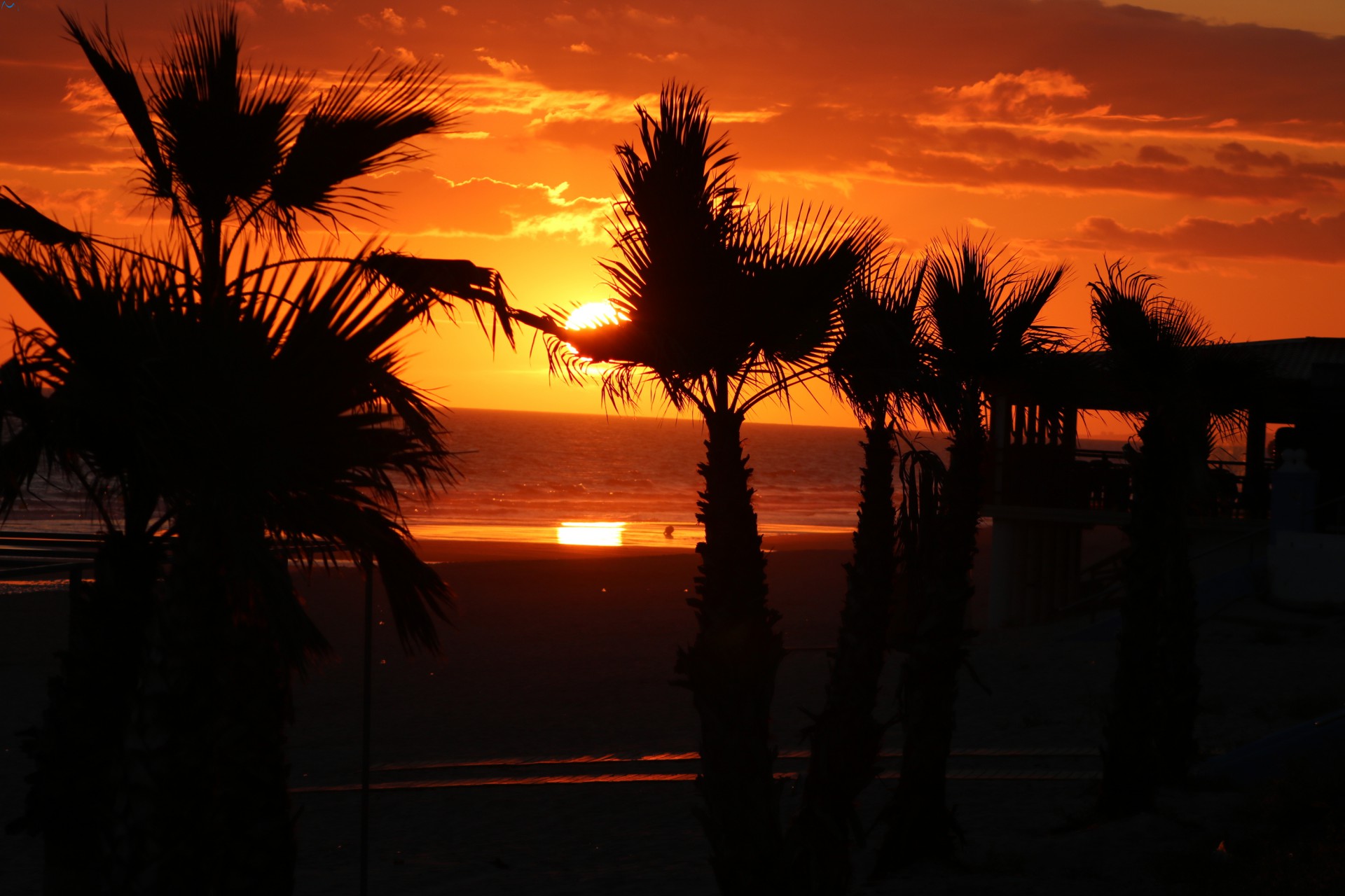 Atardecer playa Doñana