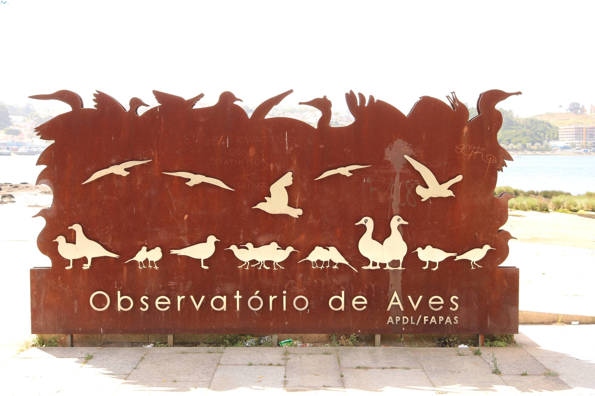 Observatorio de Aves Oporto