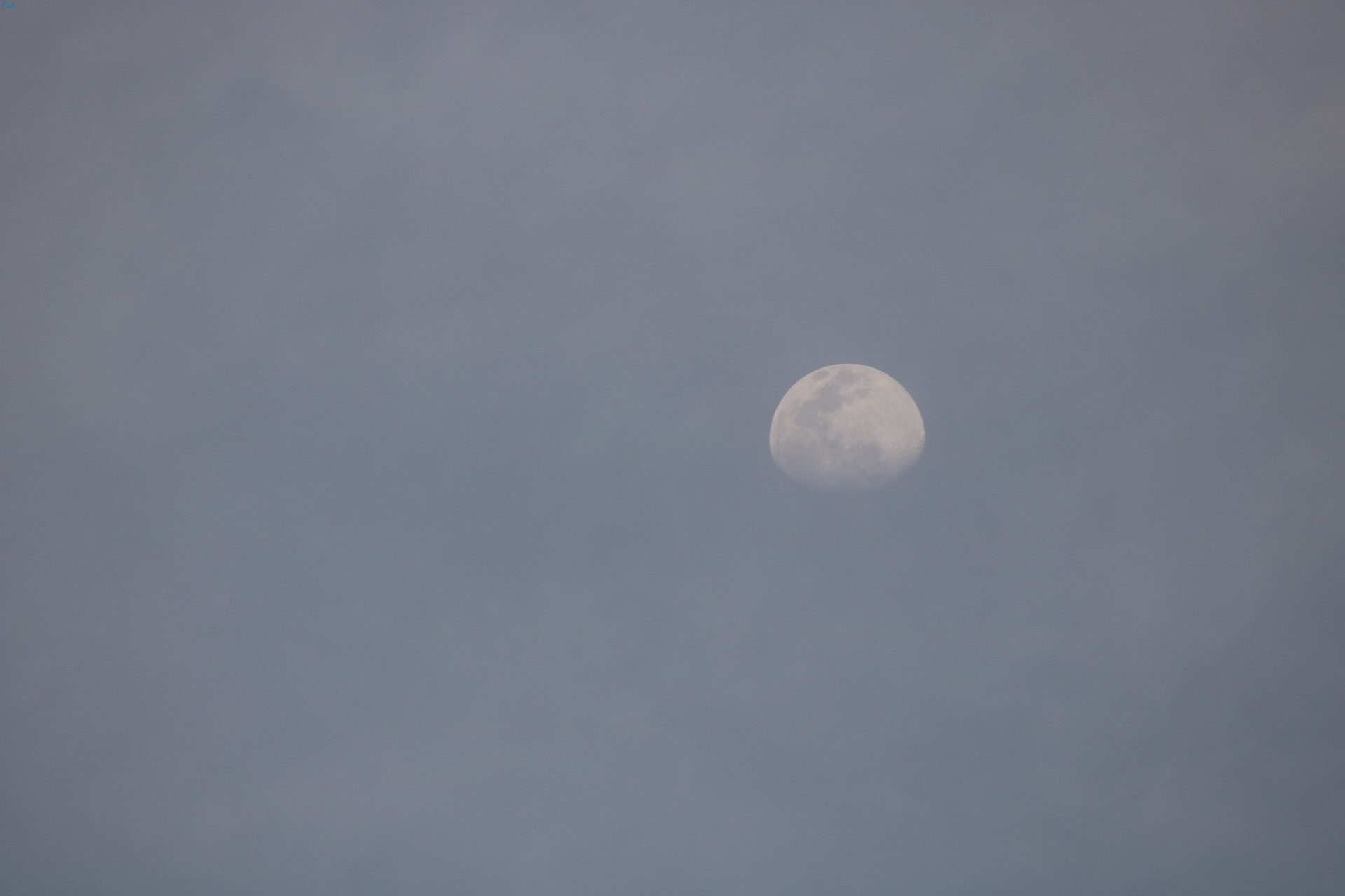 Durante la cuarentena