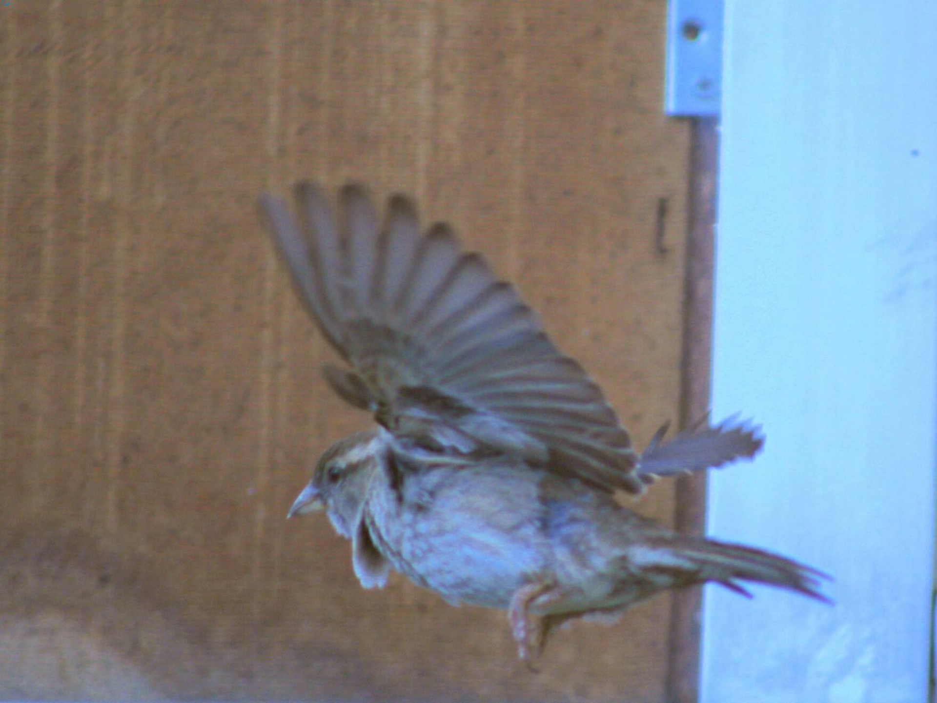 y yo me quedo en casa  #QuedateEnCasa