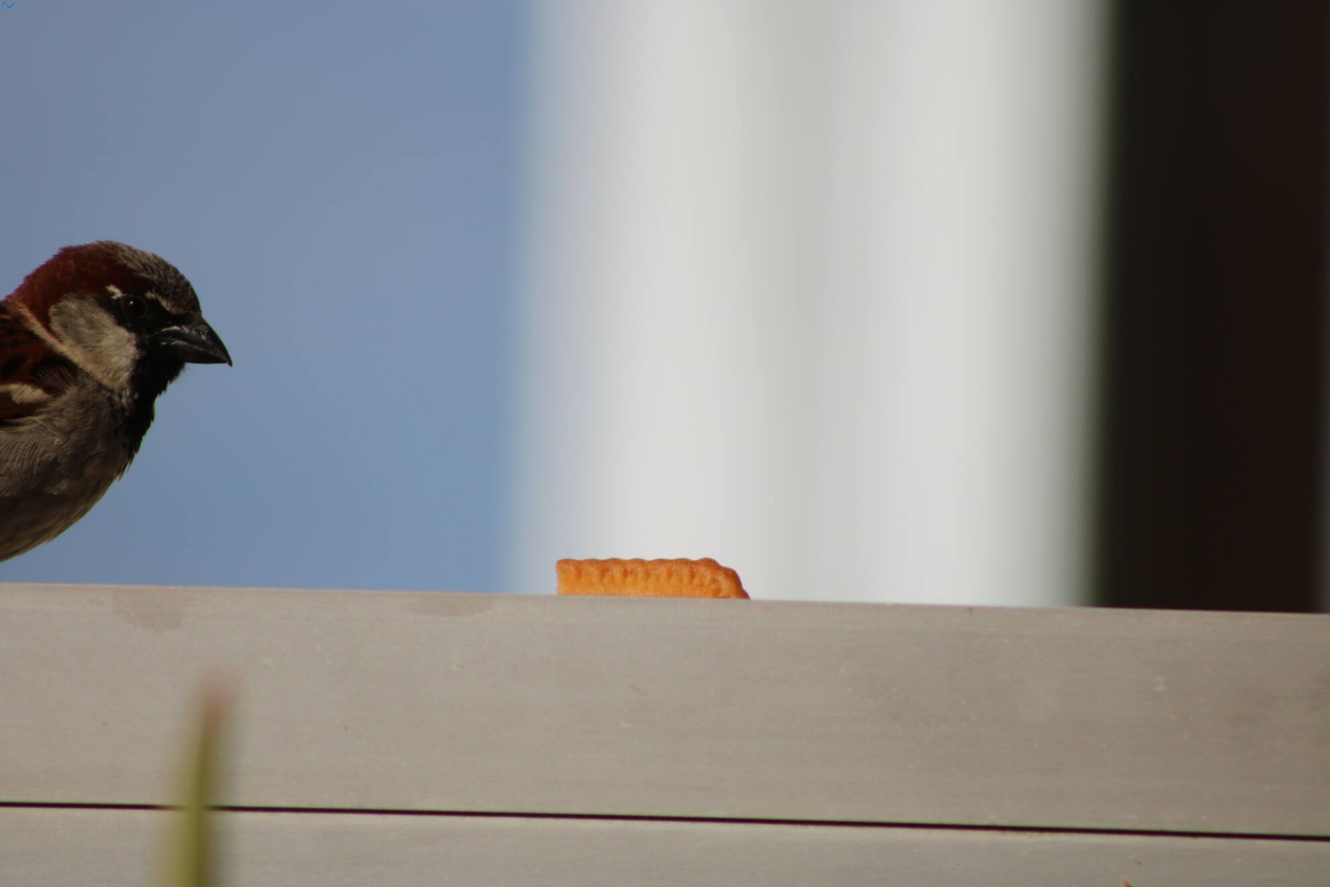 Posar antes de comer