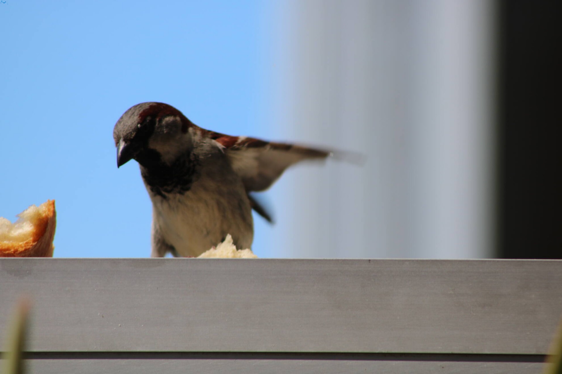 Procedimiento correcto 1/4