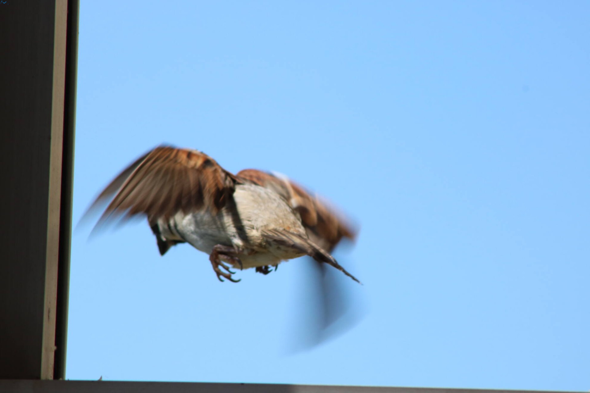 Procedimiento correcto 4/4