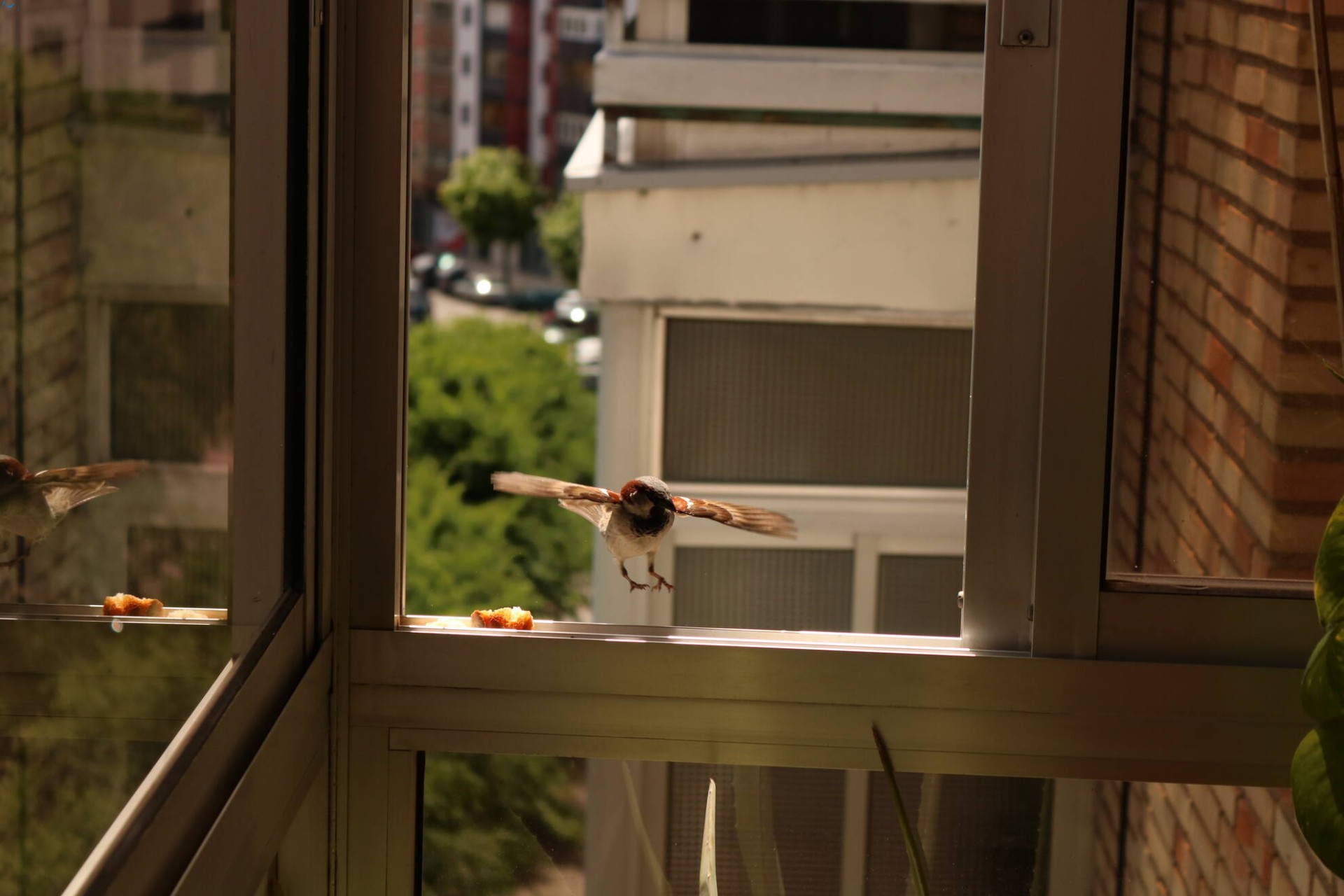Elegante toma de ventana