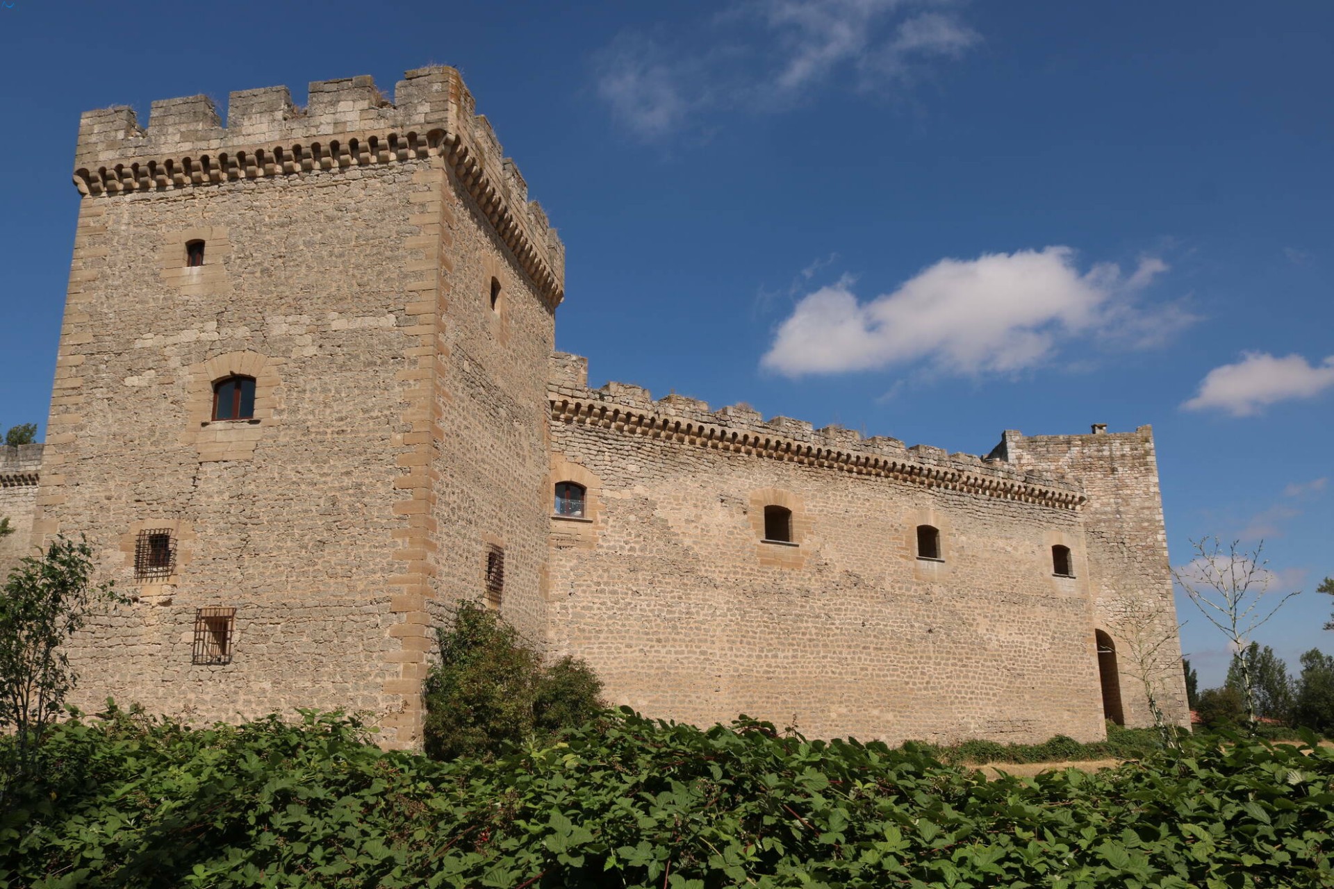 Castillo en Sotopalacios