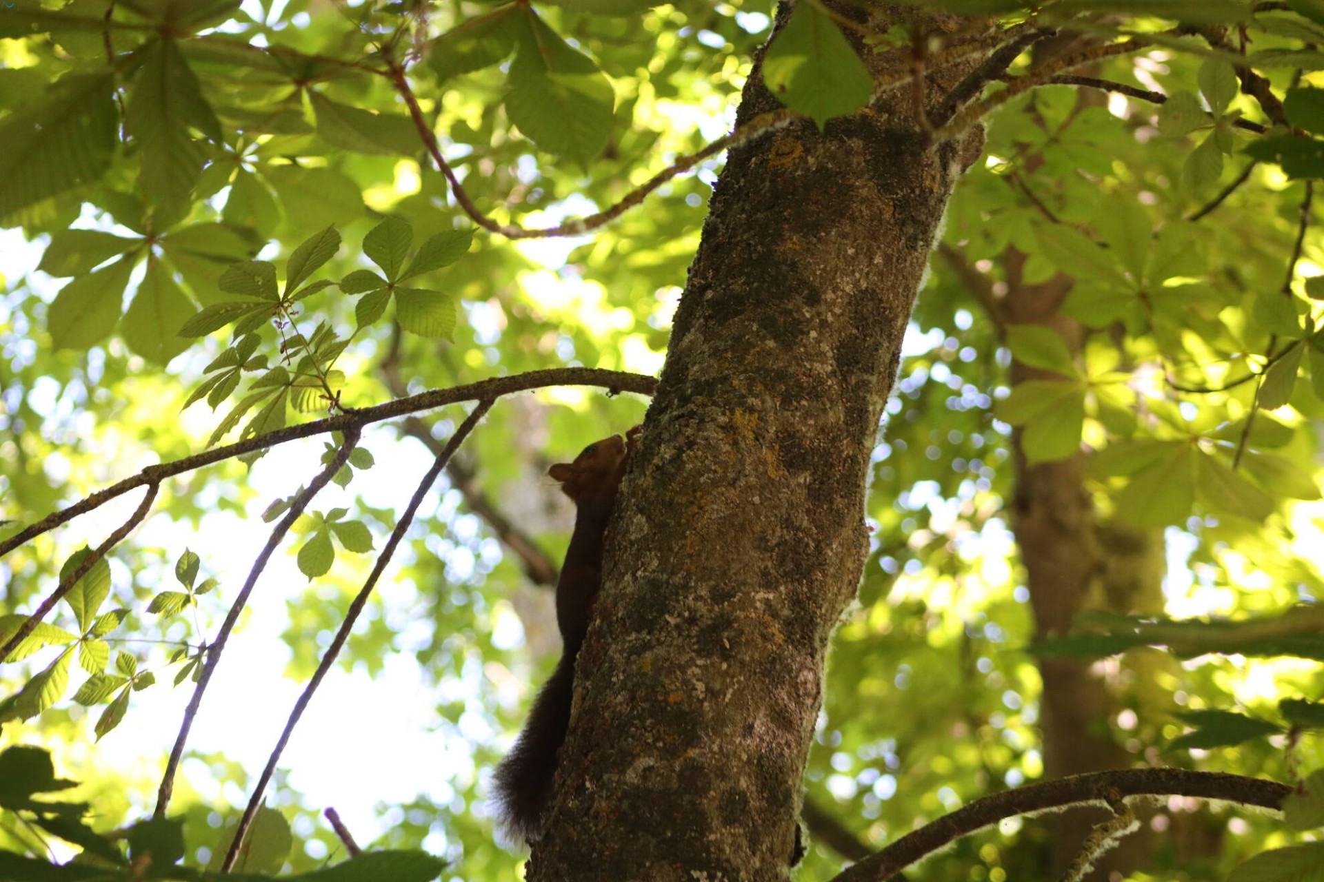 Paseo por fuentes blancas