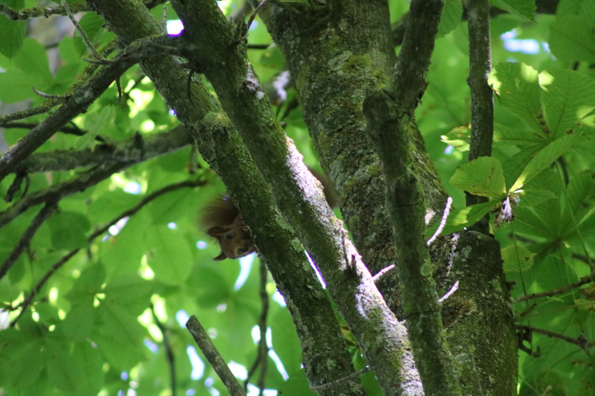 Paseo por fuentes blancas