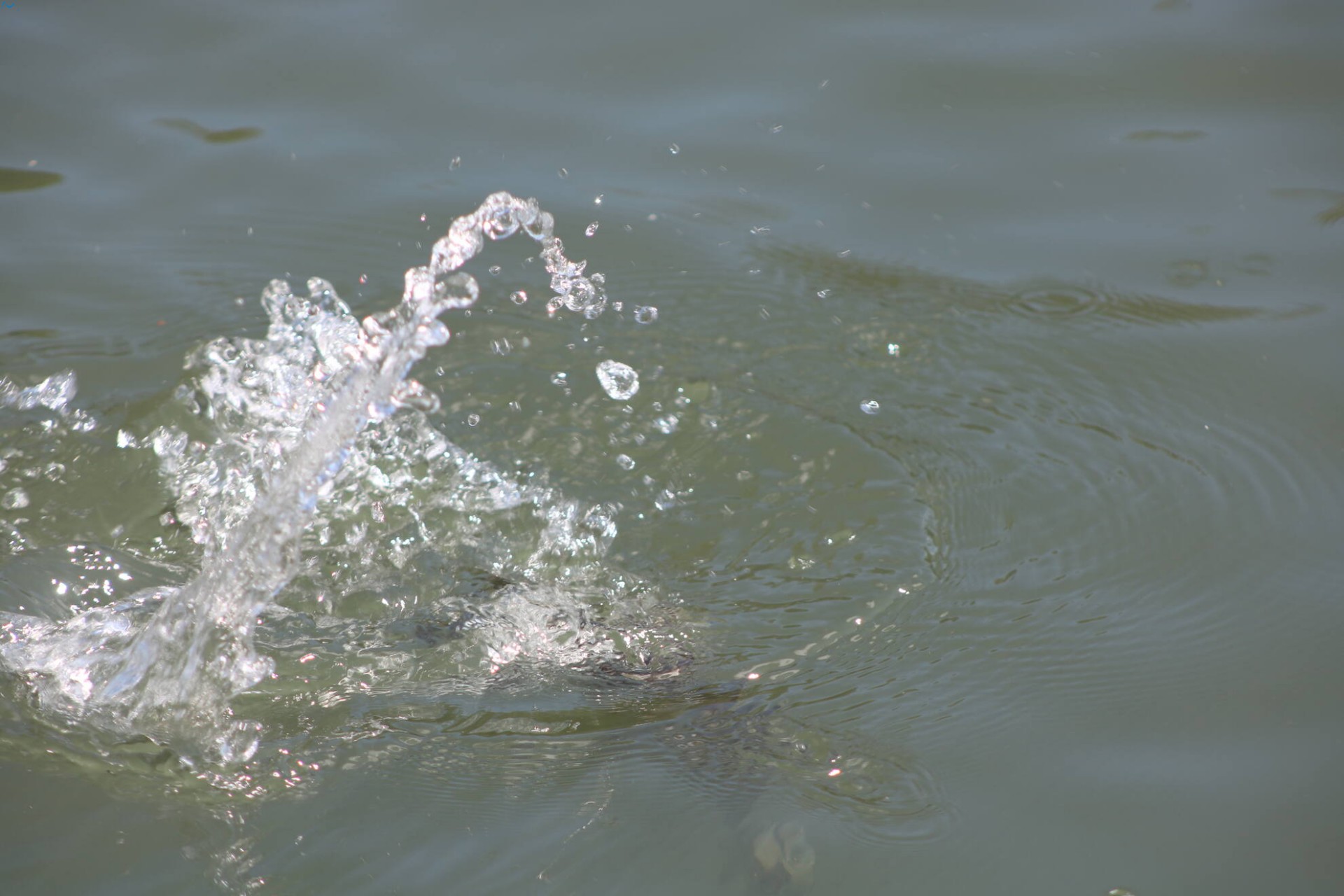 Paseo por fuentes blancas