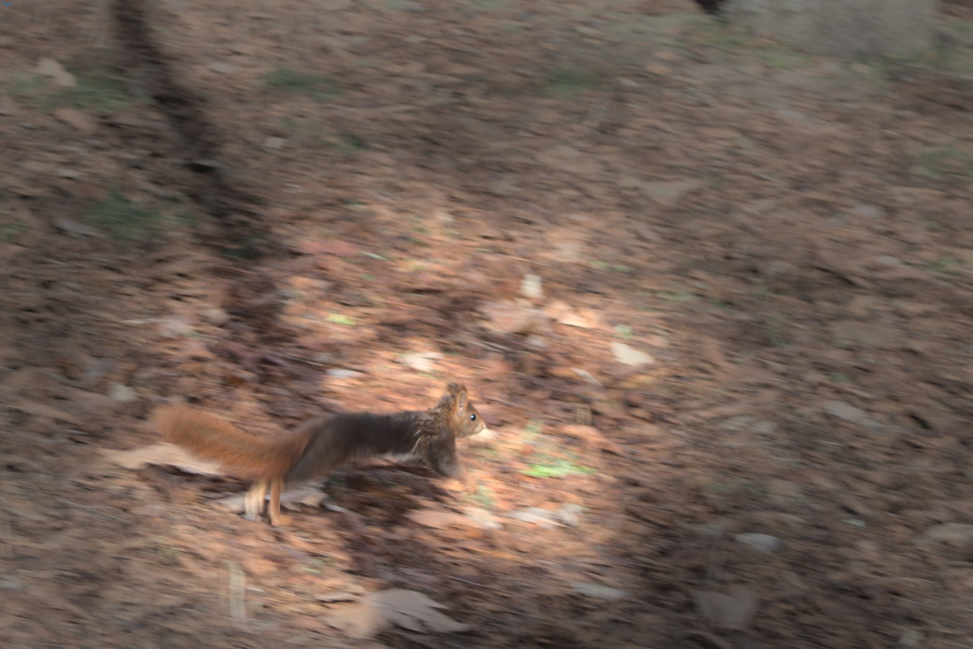 Paseo por fuentes blancas