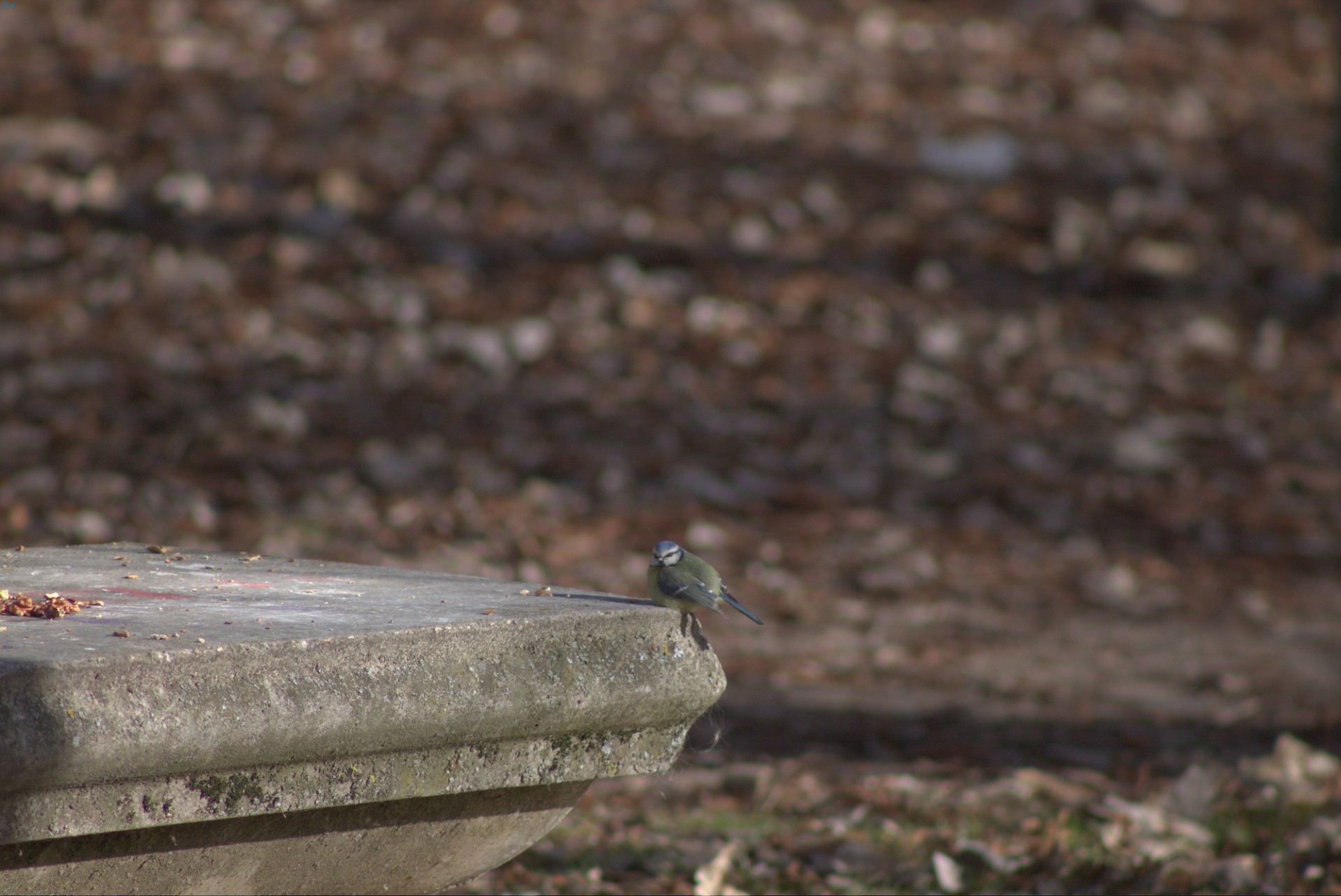 Paseo por fuentes blancas