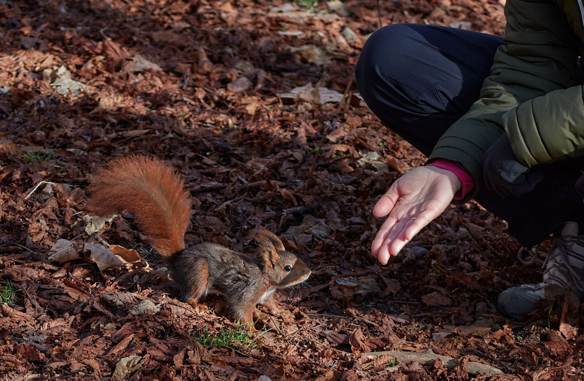 Paseo por fuentes blancas