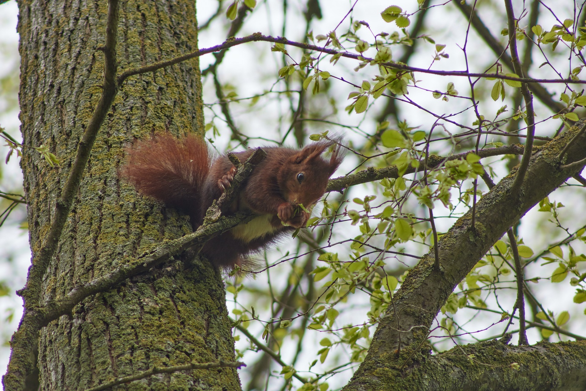 Paseo por fuentes blancas