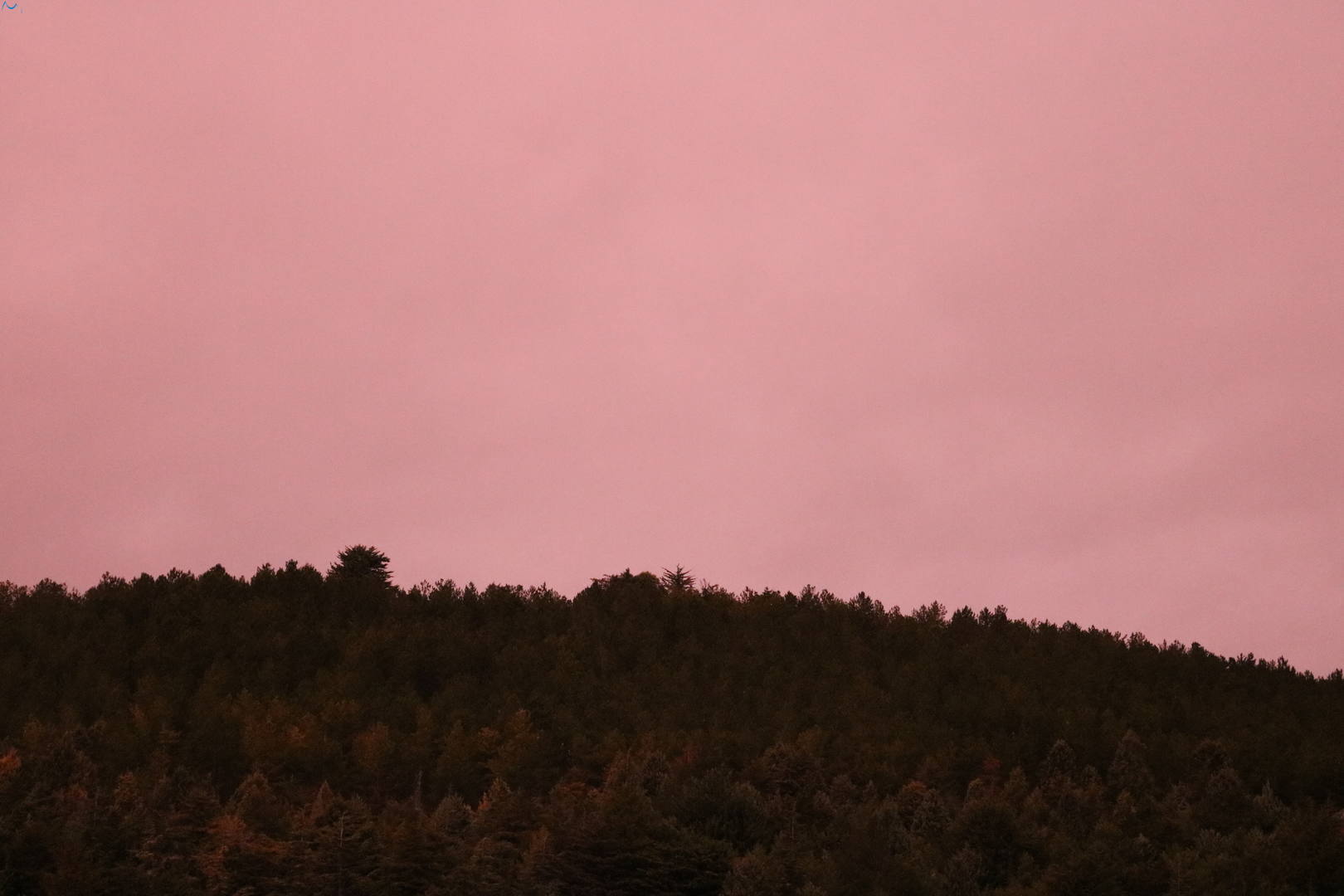 Nuevo año diferente luz al amanecer de Burgos
