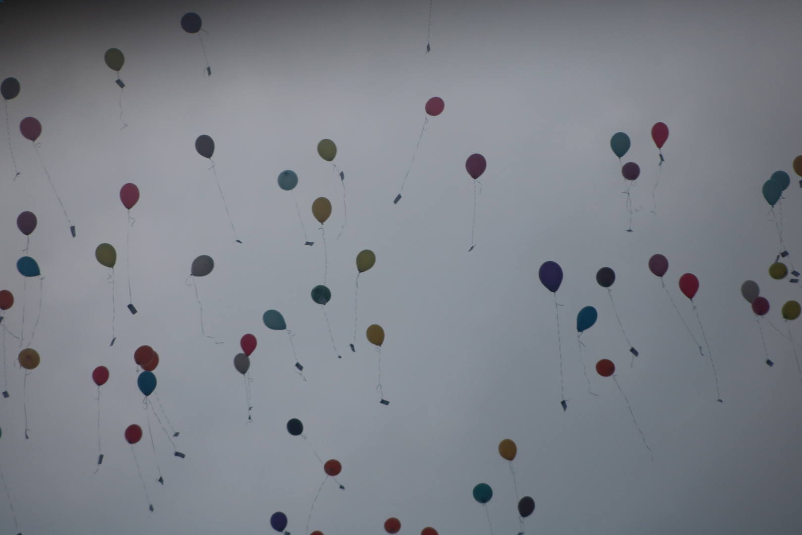 Los boyscouts, que no pensaban donde irá el plástico de los globos