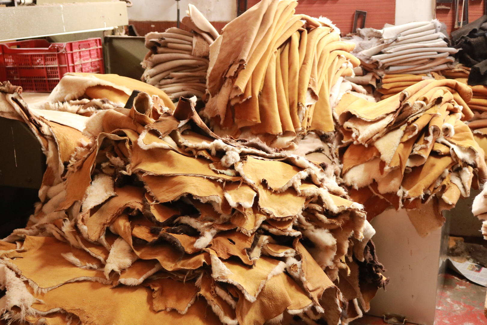 Planchadas para cortar