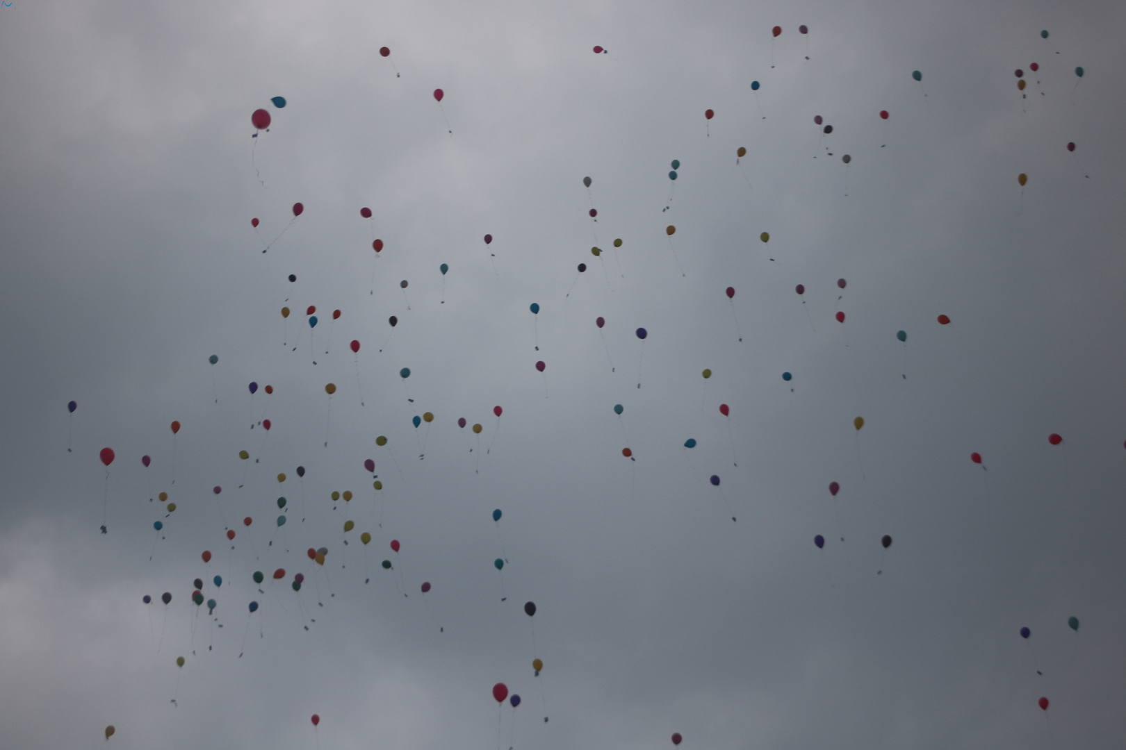 Los boyscouts, que no pensaban donde irá el plástico de los globos