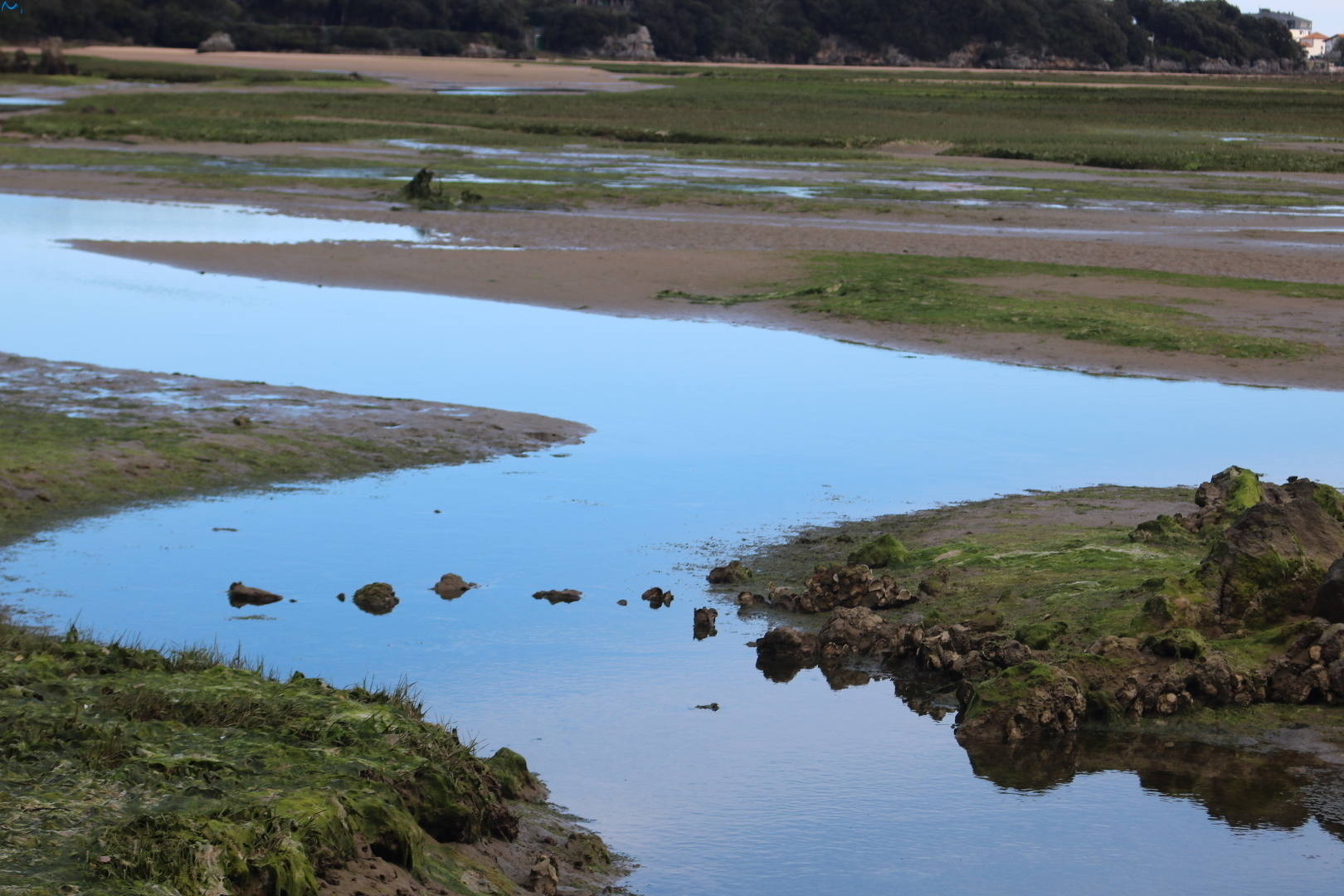 Foto tomada en Cantabria