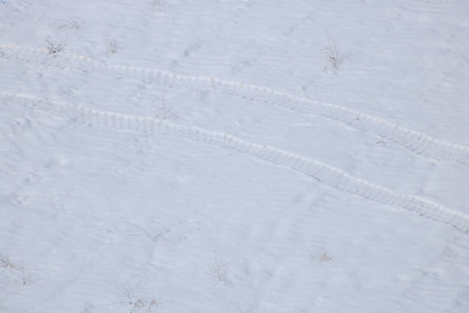 Primeras nieves del 2017