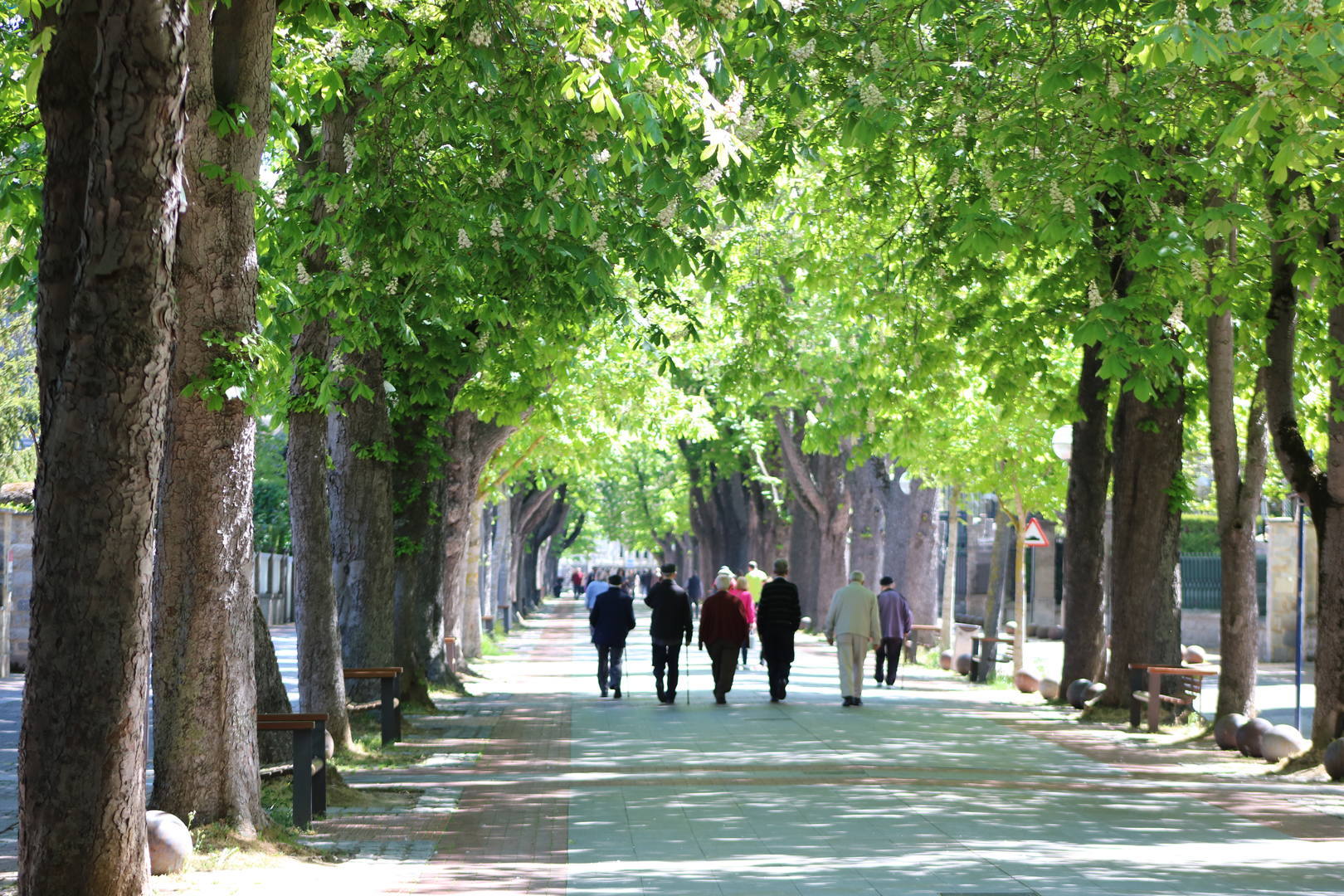 Paseo por  Vitoria-Gazteiz