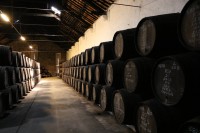 Bodegas vino Oporto