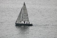 Velero