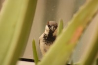 Are you talking to me?