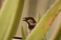 Are you talking to me?