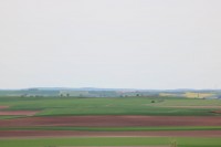 Santa María del Campo