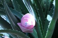 Naturaleza inventada